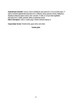 Prakses atskaite 'Deviņi stundu plāni pedagoģiskās prakses dienasgrāmatai', 35.