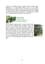 Prakses atskaite 'Deviņi stundu plāni pedagoģiskās prakses dienasgrāmatai', 44.