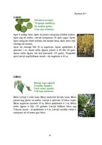 Prakses atskaite 'Deviņi stundu plāni pedagoģiskās prakses dienasgrāmatai', 45.