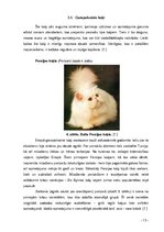 Referāts 'Kaķi tagad un kādreiz', 13.