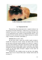 Referāts 'Kaķi tagad un kādreiz', 15.