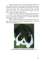 Referāts 'Kaķi tagad un kādreiz', 20.