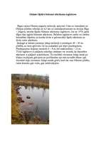 Konspekts 'Piesārņotākās vietas Latvijā', 5.