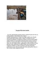 Konspekts 'Piesārņotākās vietas Latvijā', 6.