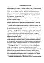 Referāts 'Uzņēmuma dzīves cikls', 2.