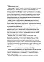 Referāts 'Uzņēmuma dzīves cikls', 6.