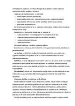 Referāts 'Uzņēmuma dzīves cikls', 7.