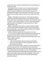 Referāts 'Uzņēmuma dzīves cikls', 10.