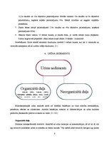 Referāts 'Urīna sedimenta morfoloģiskā izmeklēšana un diagnostiskā interpretācija', 6.