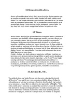 Konspekts 'Dzintars Sodums', 7.