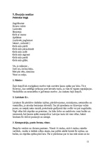 Konspekts 'Dzintars Sodums', 12.