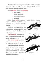 Referāts 'Epileptiskā koma', 4.