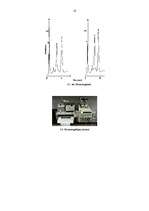 Referāts 'Analītiskās ķīmijas metodes', 17.