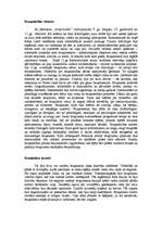 Konspekts 'Bruņinieki un viņu kodekss', 1.