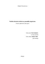 Referāts 'Futbola elementu ietekme uz pusaudža organismu', 1.