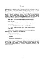 Referāts 'Futbola elementu ietekme uz pusaudža organismu', 3.