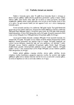 Referāts 'Futbola elementu ietekme uz pusaudža organismu', 6.