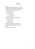 Referāts 'Tiesību normu interpretācijas metodes', 3.