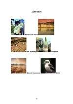 Referāts 'Australia', 23.