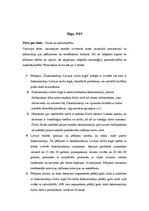 Konspekts 'Tēzes', 2.