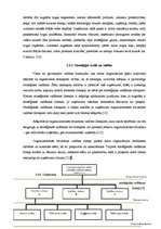 Diplomdarbs 'Pāvilostas ostas stratēģiskās darbības plānošana un kontrole', 25.