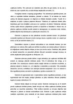 Diplomdarbs 'Pāvilostas ostas stratēģiskās darbības plānošana un kontrole', 28.