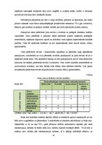 Diplomdarbs 'Pāvilostas ostas stratēģiskās darbības plānošana un kontrole', 43.