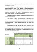 Diplomdarbs 'Pāvilostas ostas stratēģiskās darbības plānošana un kontrole', 44.