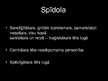 Prezentācija 'Spīdolas tēls Raiņa lugā "Uguns un nakts"', 2.