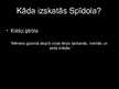 Prezentācija 'Spīdolas tēls Raiņa lugā "Uguns un nakts"', 16.