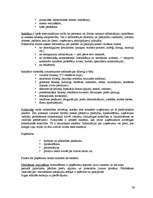 Referāts 'Latvijas koka izstrādājumu tirgus izpēte', 59.