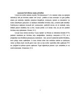 Referāts 'Brīvdienu māju raksturojums', 7.