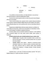 Konspekts 'Kvalitatīvo pētījumu datu analīzes specifika', 8.