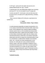 Konspekts 'Starptautiskās valūtas attiecības', 4.