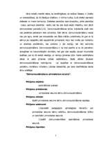 Diplomdarbs 'Dzimumaudzināšana pirmsskolas vecumā', 2.