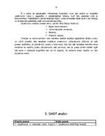 Referāts 'Krājumu iepirkšana', 14.