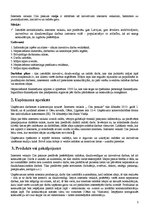 Biznesa plāns 'Biznesa plāns interneta veikalam "Cita pasaule"', 3.