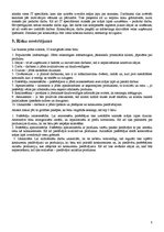 Biznesa plāns 'Biznesa plāns interneta veikalam "Cita pasaule"', 8.