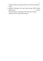 Referāts 'Peļņa un tās rādītāji', 31.