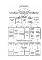 Prakses atskaite 'Prakse psiholoģijā', 23.