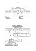 Prakses atskaite 'Prakse psiholoģijā', 24.