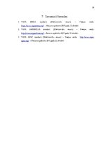 Referāts 'TAPA standarts', 28.