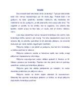 Referāts 'Birokrātijas jēdziens un pazīmes', 4.