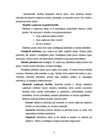 Referāts 'Konkurētspēja SIA “X”, tās analīze', 6.