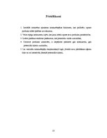 Referāts 'Konkurētspēja SIA “X”, tās analīze', 23.