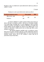 Prakses atskaite 'Prakses atskaite vairumtirdzniecības uzņēmumā', 24.