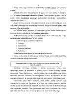 Referāts 'Patērētāju uzvedības izpēte', 6.