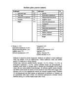 Paraugs 'Budžeta plāns vienam mēnesim', 1.