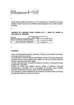 Paraugs 'Budžeta plāns vienam mēnesim', 3.