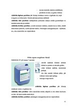 Prakses atskaite 'Ražošanas prakses atskaite', 41.